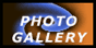 View Our Photo Gallery